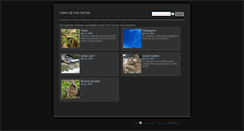 Desktop Screenshot of gallery.clubyachats.com